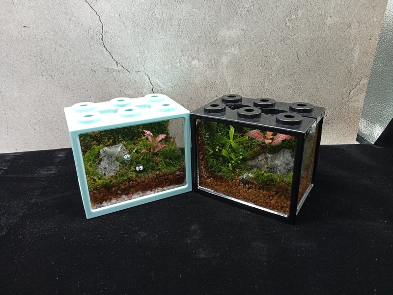 【苔療癒】生態積木盒DIY材料包/母親節禮物 - 花藝/盆栽/植栽 - 塑膠 透明
