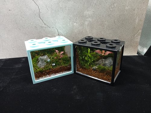 太陽療癒工作坊 【苔療癒】生態積木盒DIY材料包/母親節禮物