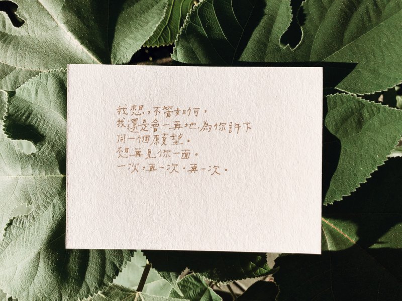 荒涼手記。同一個願望 文字明信片 青青的島 - 卡片/明信片 - 紙 