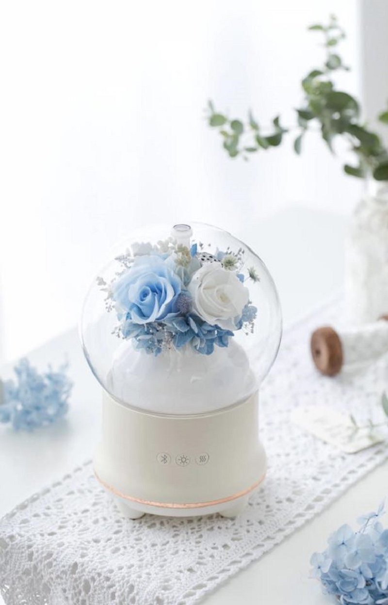 Oone_n_only Preserved Flower Humidifier Aroma Diffuser Decoration - โคมไฟ - พืช/ดอกไม้ 