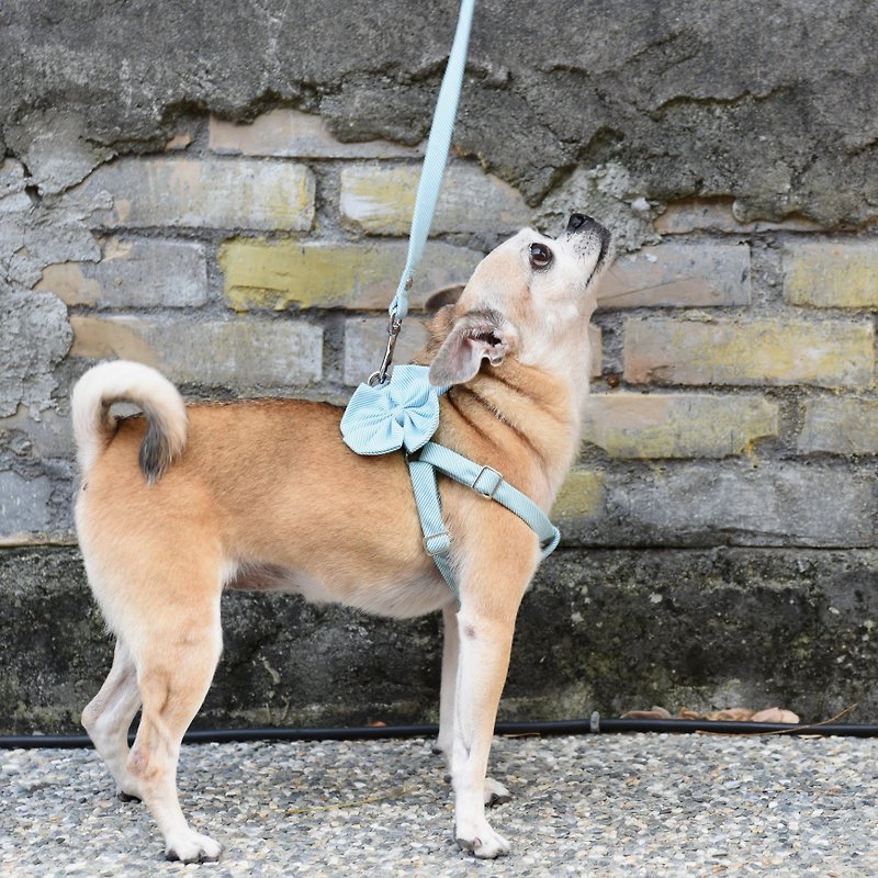 【ZAZAZOO】S code dog leash - Collars & Leashes - Polyester Multicolor