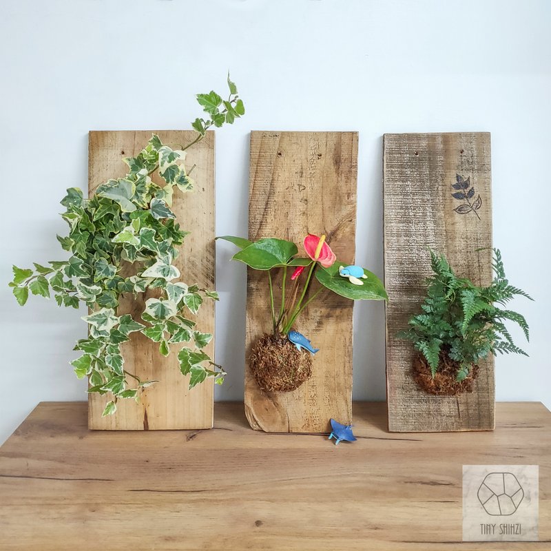 【線上】綠上板・植物上板・有溫度的卡片・手作生日禮物 - 植栽/花藝 - 植物．花 