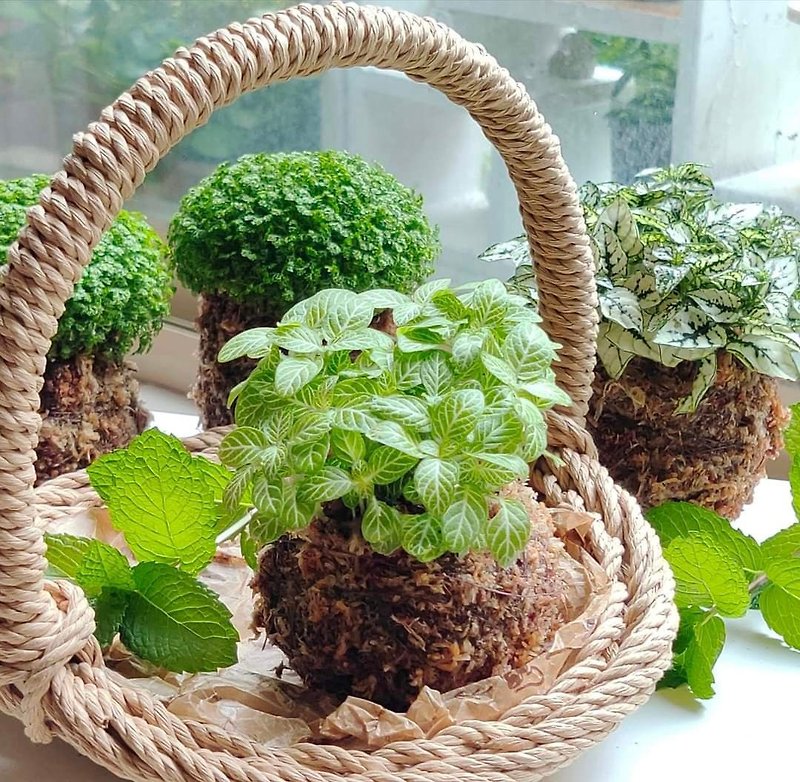 Moss Ball Basket DIY Weaving Materials Kit【Includes materials bag and online teaching video】 - Knitting, Embroidery, Felted Wool & Sewing - Paper Khaki