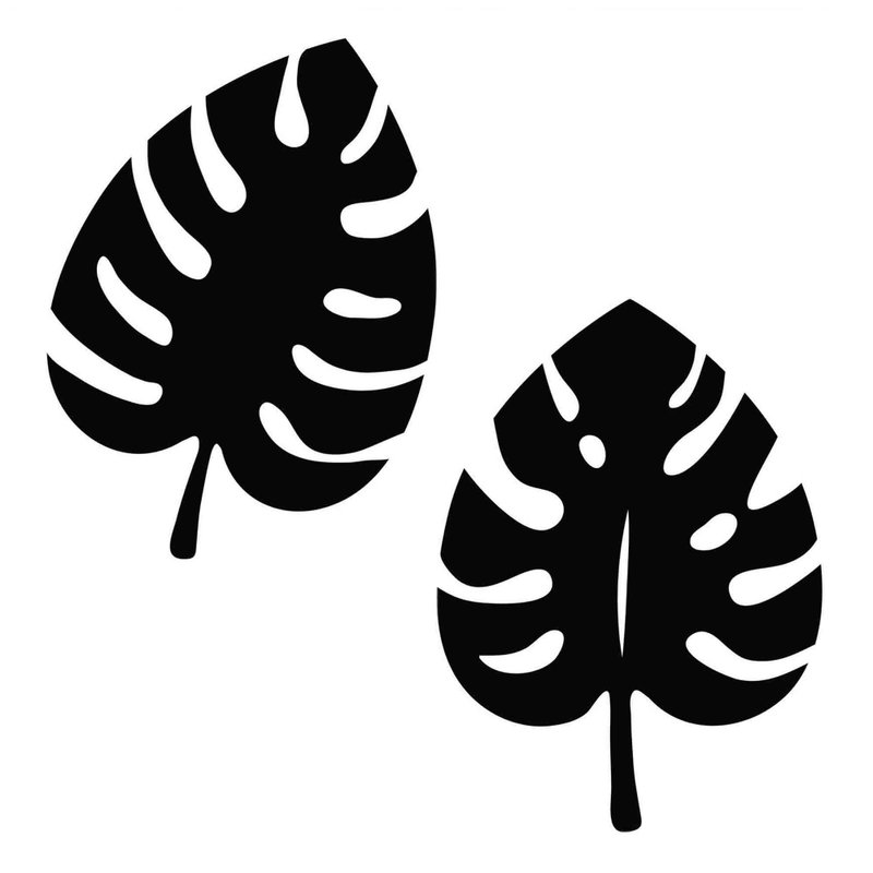 Monstera svg, monstera leaf svg, monstera leaves svg, monstera pdf, Cricut, SVG - 圖文模板設計 - 其他材質 