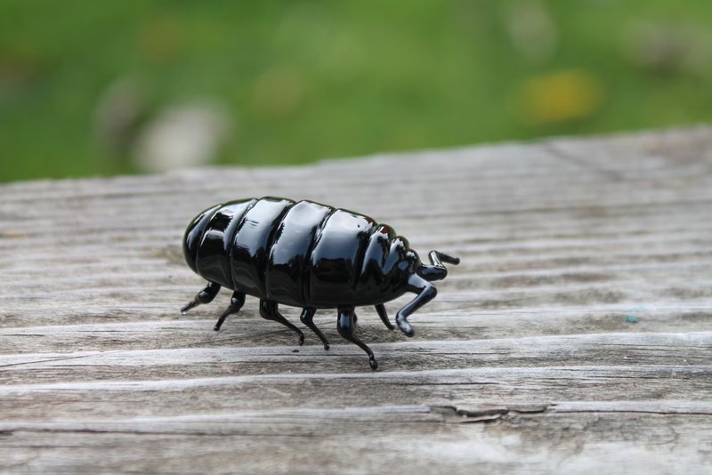 Glass woodlouse Glass bug Art glass Blown Glass bug glass sculpture woodlous - งานเซรามิก/แก้ว - แก้ว สีดำ