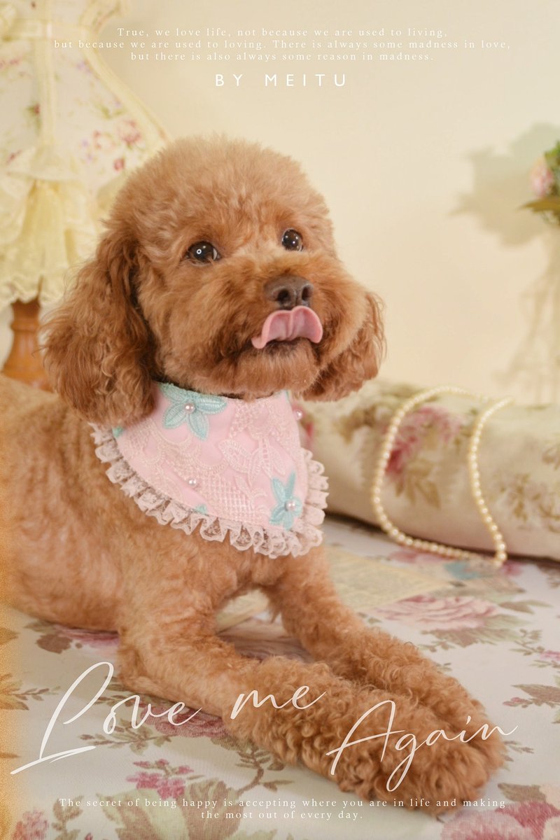 Romantic Pet Collar with Embroidered Floral Lace and Pearls - ชุดสัตว์เลี้ยง - ไฟเบอร์อื่นๆ สึชมพู