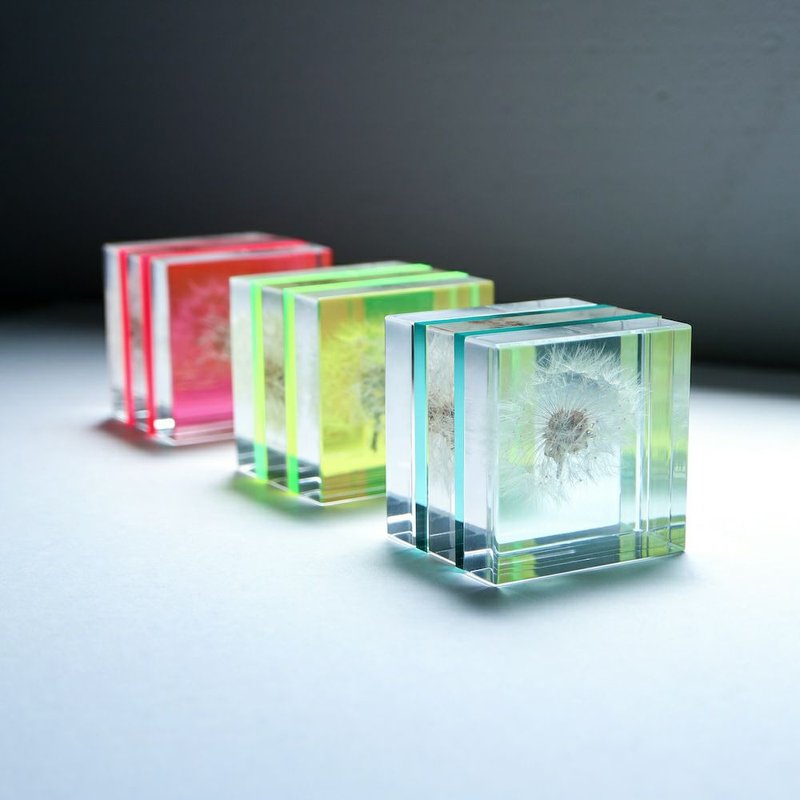 Sola cube Slice 螢光觀賞斷層塊 (共3色) - 擺飾/家飾品 - 植物．花 透明