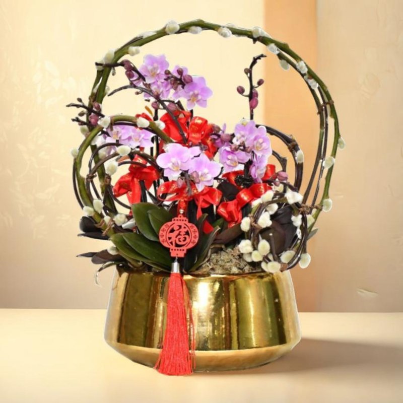 格蘭花店 - 新年祝福 迷你小粉花蝴蝶蘭5棵 (GF00026) - 盆栽/植栽 - 植物．花 