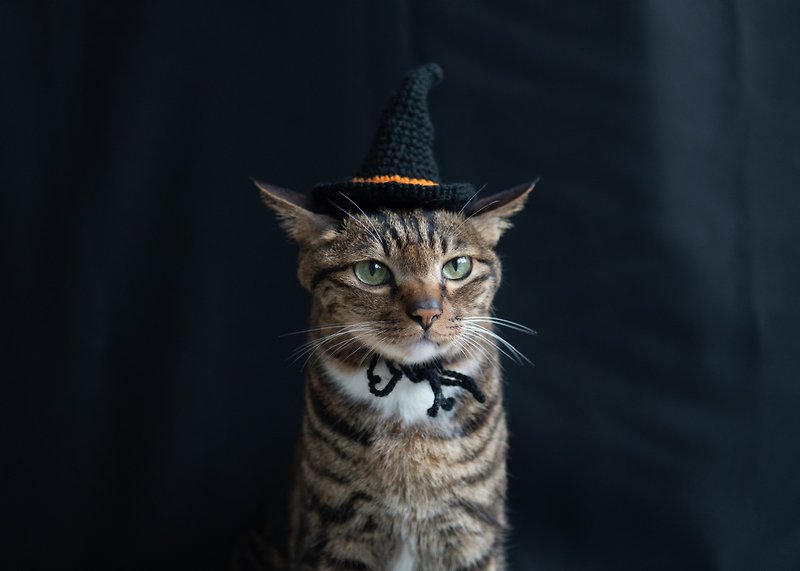 [Halloween Limited Series] Pet Hat Cat/Dog Witch Hat-Black - อื่นๆ - วัสดุอื่นๆ สีดำ