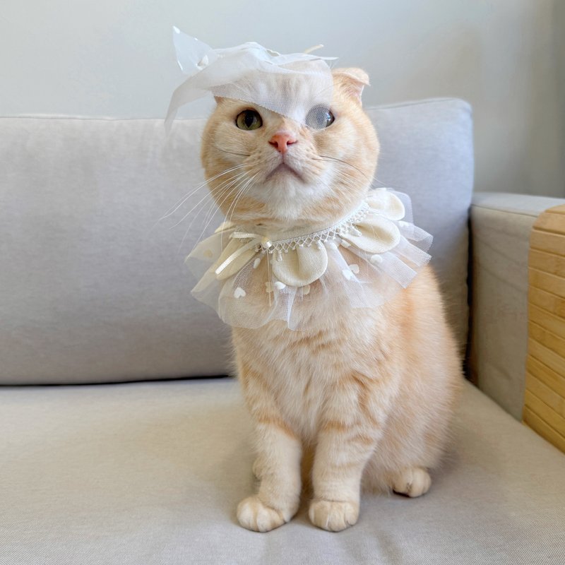 [Cha's Handmade] 1001 Proposals Pet Wedding Dress Scarf + Veil Cat Dog Collar Matching - ชุดสัตว์เลี้ยง - ผ้าฝ้าย/ผ้าลินิน 