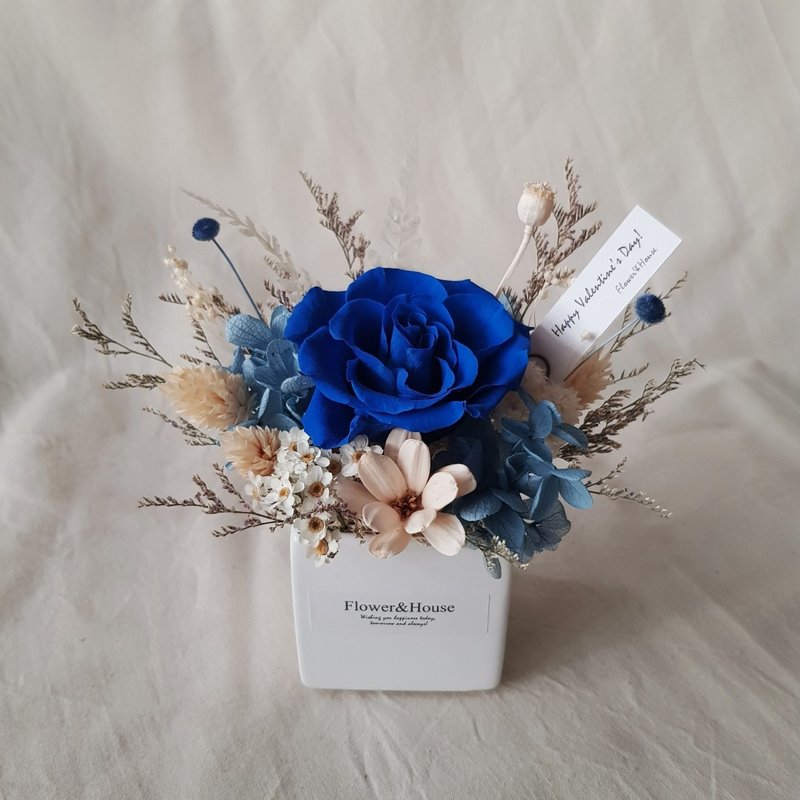 Valentine's Day|Eternal Flower + Dried Flower|Dream Preserved Rose|Mini Potted Flower|Taiwan Home Delivery - ช่อดอกไม้แห้ง - พืช/ดอกไม้ หลากหลายสี