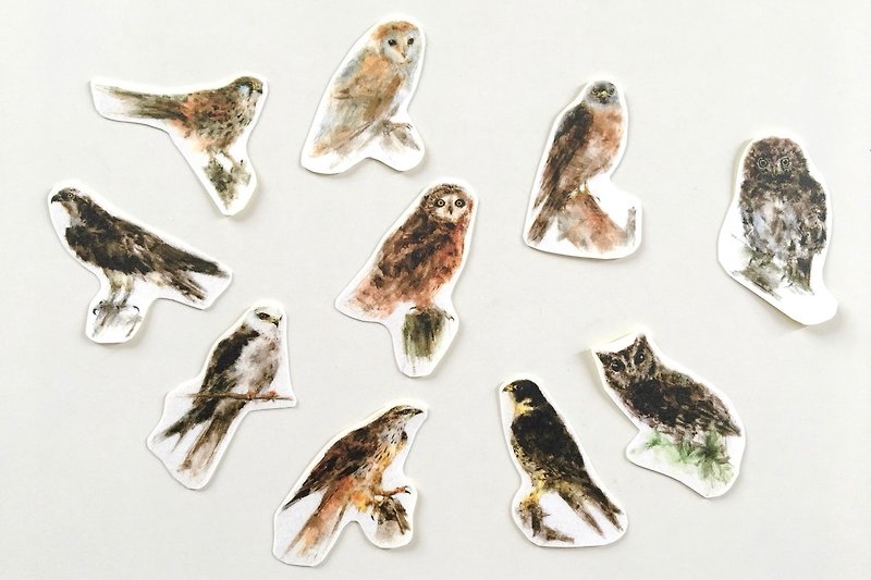 Bird Sticker Group E - Stickers - Paper 