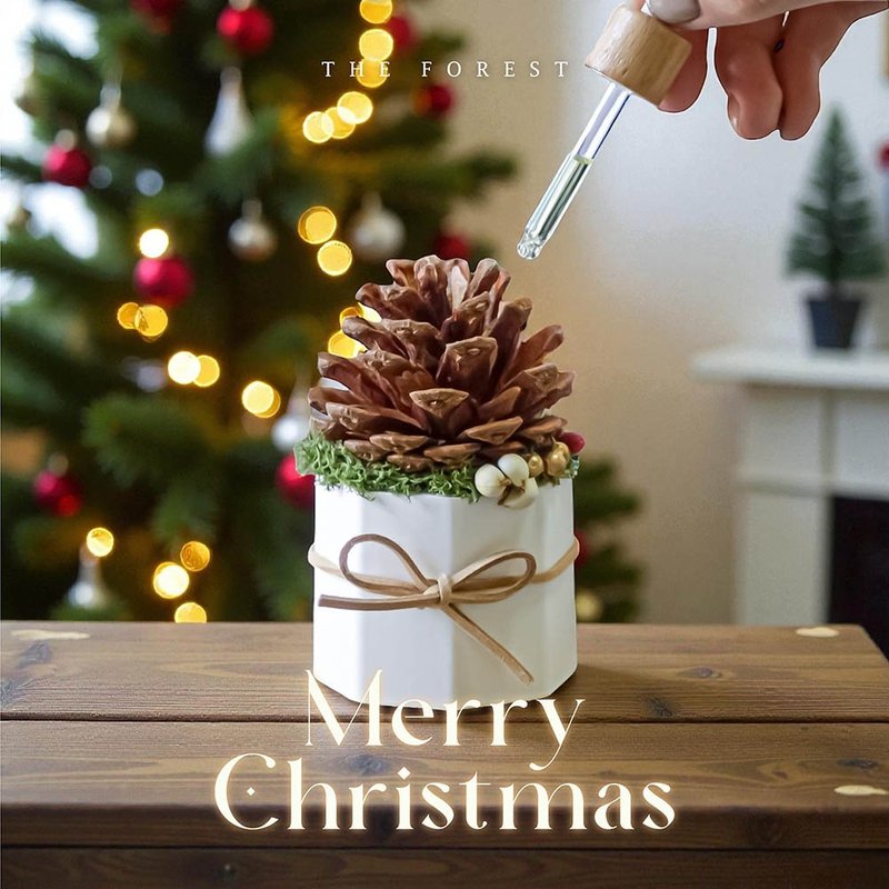 Lucky Pinecone 聖誕可可松果擴香(贈送5ml香氛油) - 香氛/精油/擴香 - 植物．花 卡其色