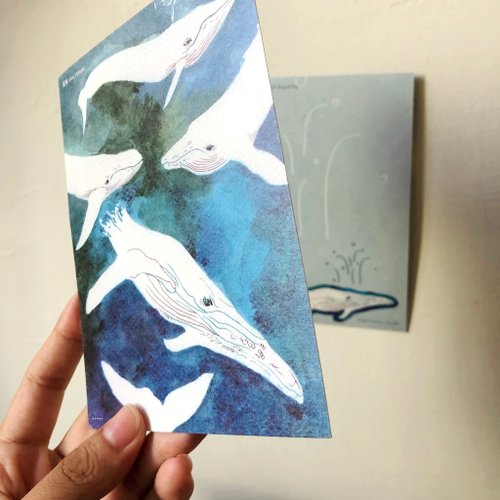 Y ART - ty.HSU 鯨, 瀕危物種:明信片小卡