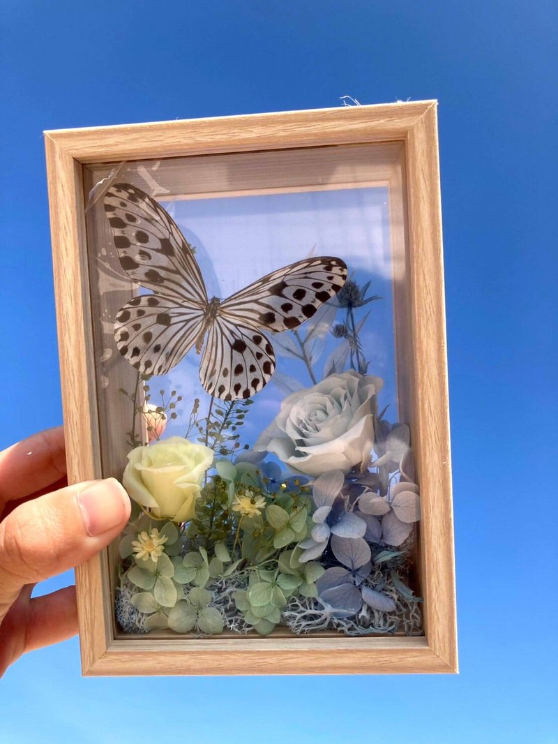 Capture the Sky Series/White Butterfly/Specimen Photo Frame/Eternal Flowers/Valentine’s Day/Opening Promotion Ceremony - Dried Flowers & Bouquets - Plants & Flowers Green