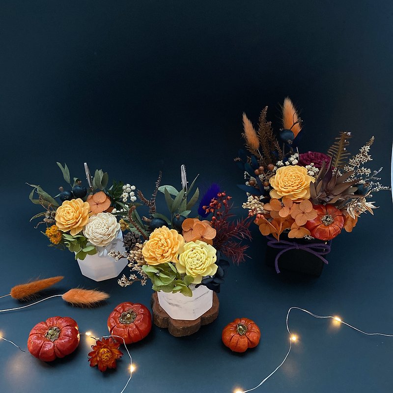 【ハロウィンシリーズ】ドライフラワー 不滅の花材 ディフューザー 鉢花 - ドライフラワー・ブーケ - 寄せ植え・花 オレンジ