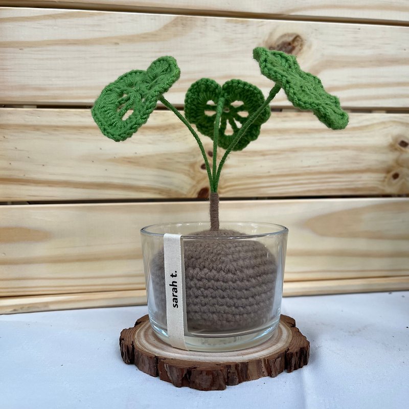 【Crochet Finished Product】Turtleback Taro Potted Plant - With Glass Pot - Plants - Polyester Green