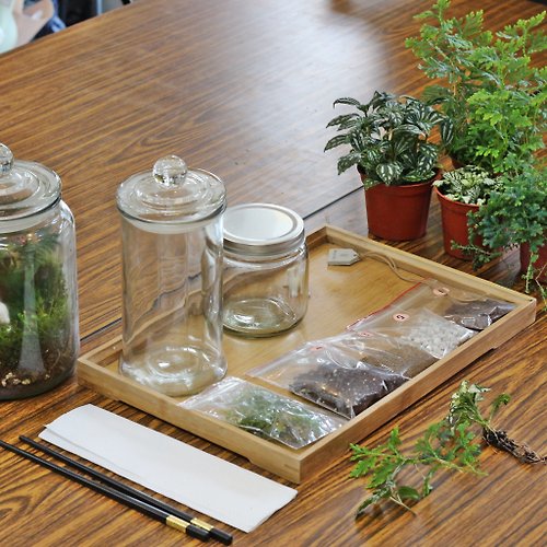 原生態 NatureWorld 【植物生態瓶】DIY材料包+教學影片