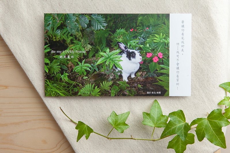 兔子攝影插畫明信片 - 絕美叢林