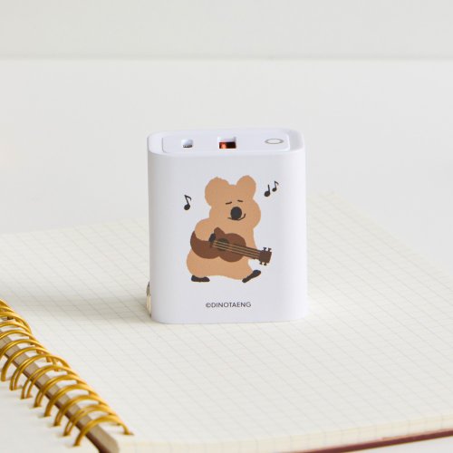 TOYSELECT DINOTAENG經典-烏克麗麗USB3.0+PD20W雙孔充電器