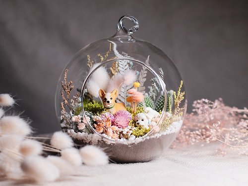 仰式漂浮 Daydream Crafts 多肉植物乾燥花玻璃微景 花夢小行星 玻璃球植栽材料包
