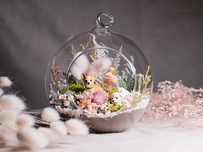 Succulents dry flower glass micro-view flower dream asteroid glass ball planting material package