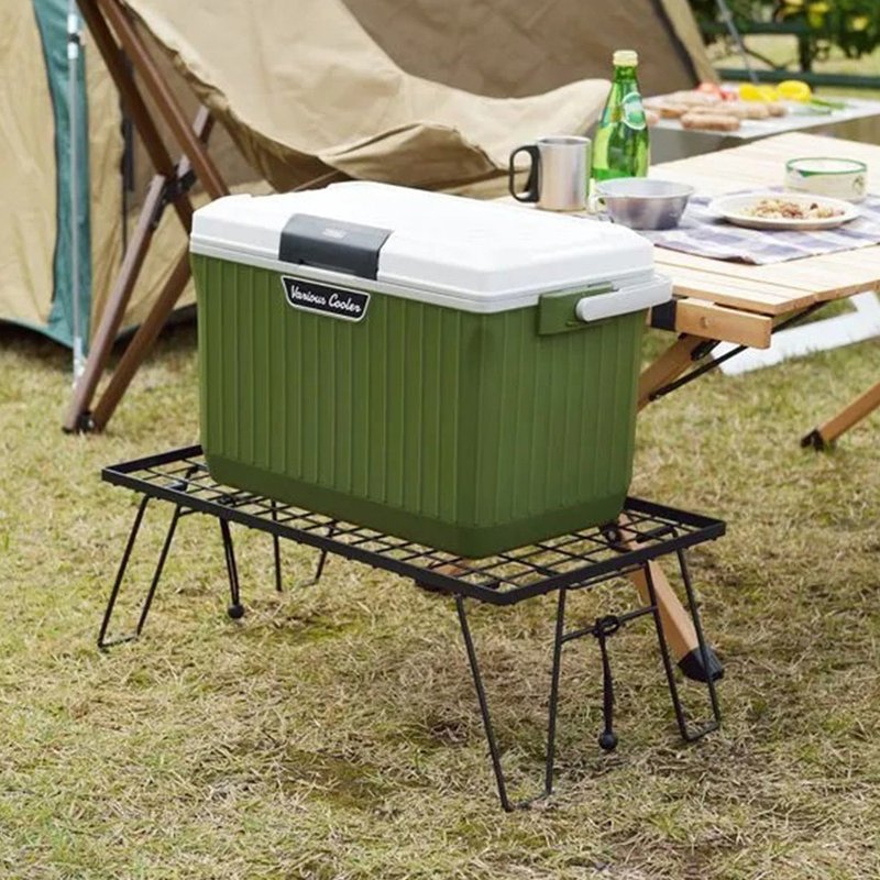 日本squ+ Various Cooler日製一按即開手提保冷冰桶-17L-多色可 - 露營用品 - 塑膠 綠色