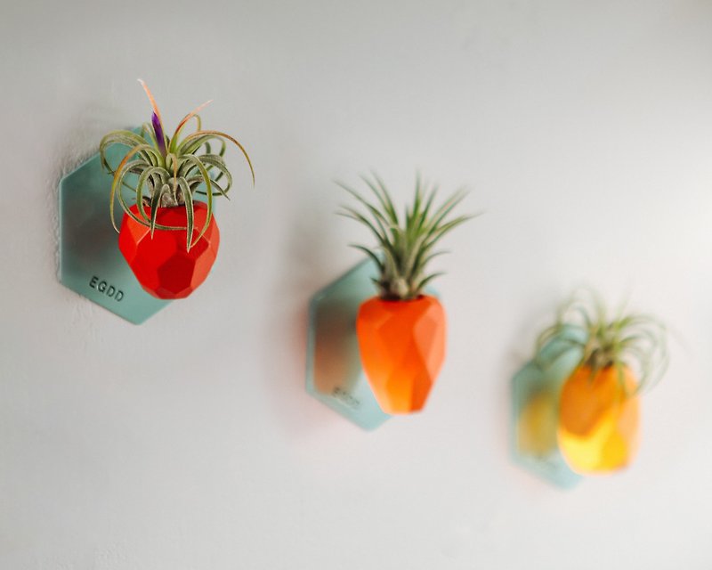 木頭 花瓶/花器 紅色 - SNAP FROOTS 磁吸原木植物盆 - Mini 草莓