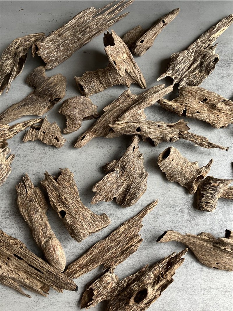 【上爐小料】【稀少款】野生加里曼丹沉香蟲漏(隨機十克) - 香氛/精油/擴香 - 木頭 