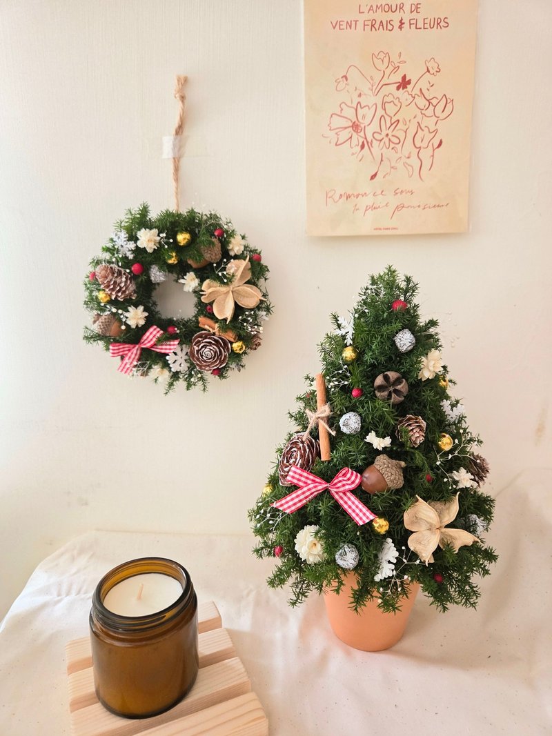 永生雪松聖誕樹盆栽 - 乾燥花/永生花 - 植物．花 