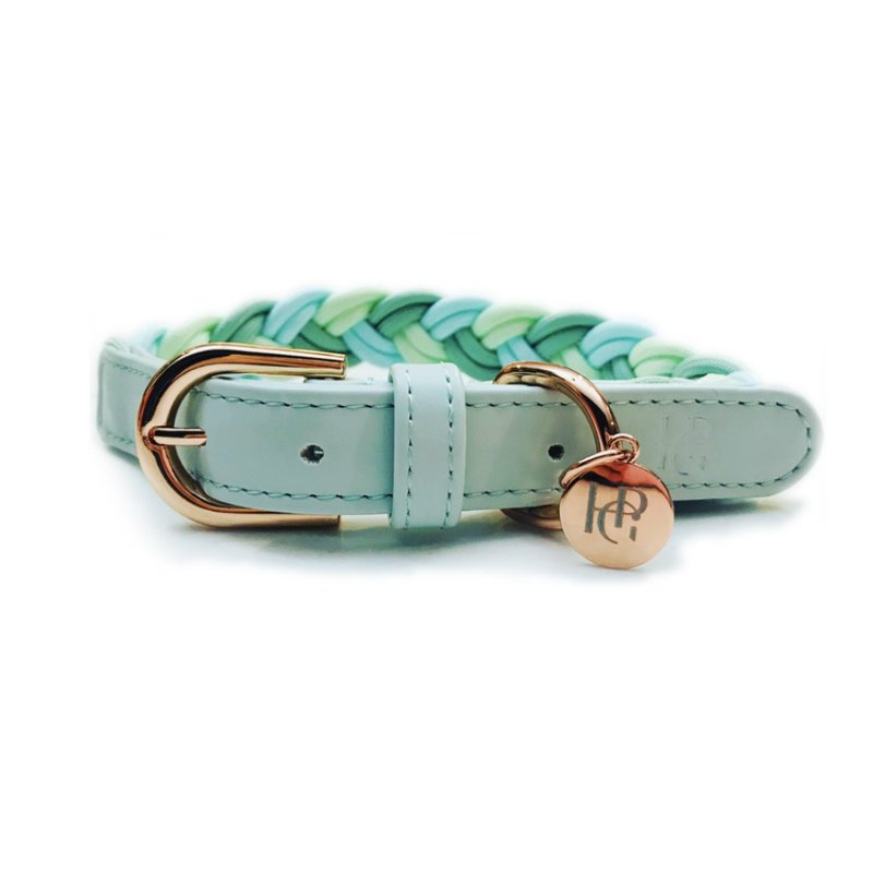 Australia Happy Go Puppy Braided Collar - Turquoise - Collars & Leashes - Other Materials 