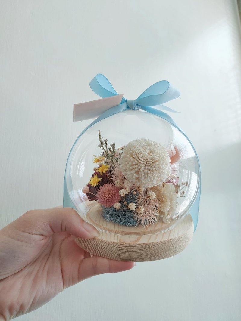 Sheer Whisper Whispering Tibetan Flower_Diffuser/Dry Flower Glass Ball/Dry Flower Glass Cover - ช่อดอกไม้แห้ง - พืช/ดอกไม้ สึชมพู