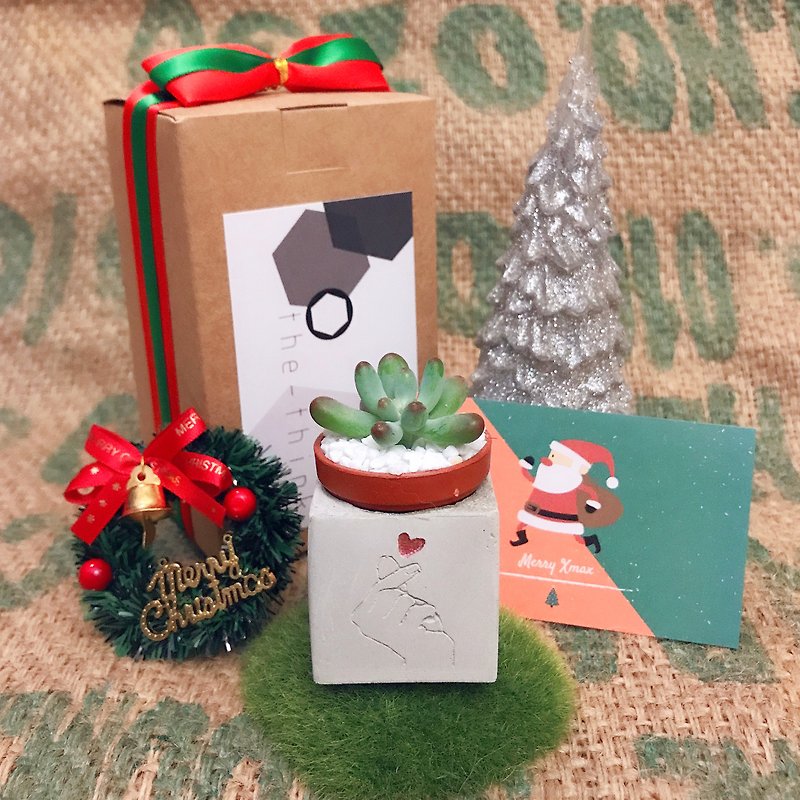 速い船積み、包装、クリスマス交換ギフト、指の愛、つぶやき、そして排他的な小さなカード - 観葉植物 - コンクリート レッド