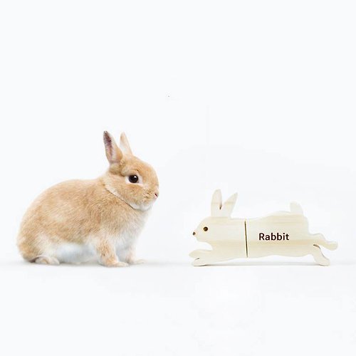 MINK'S 【畢業客製禮物】 USB 隨身碟 兔子 派對動物 | 鑰匙圈 生日禮物