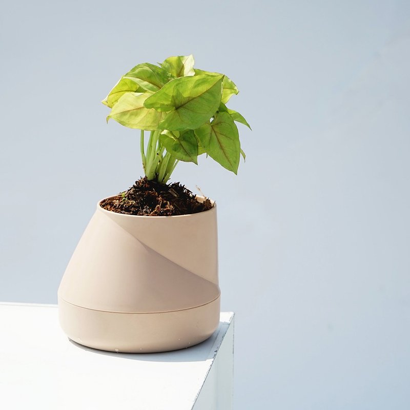 特價-QUALY 山丘-免澆水花器L(杏色)瑕疵品 - 盆栽/植栽 - 其他材質 多色
