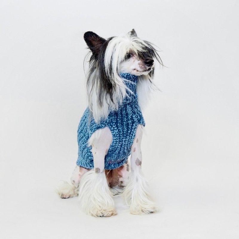 【HAINU】CHENILLE YARN SWEATER-BLUE - ชุดสัตว์เลี้ยง - เส้นใยสังเคราะห์ สีน้ำเงิน