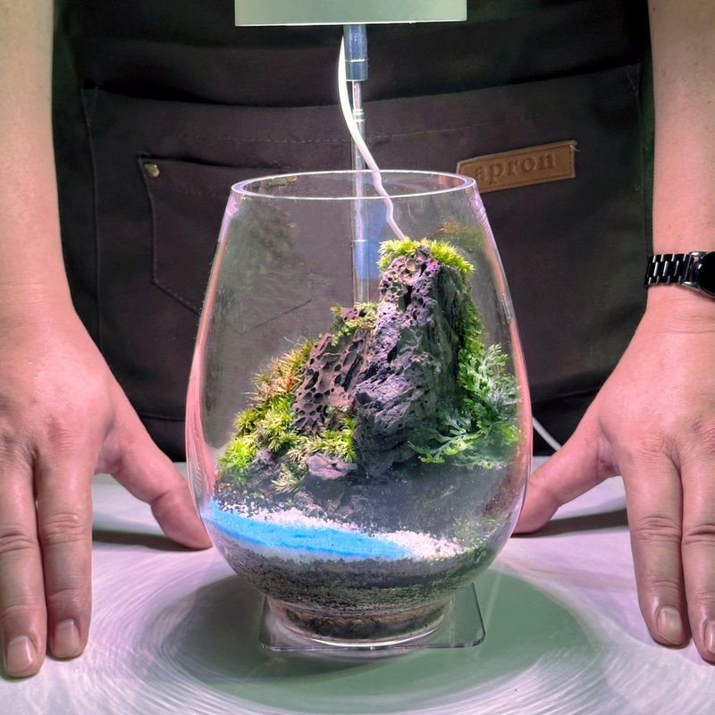 新品上市- 峽崖之聲 / 手工微景觀生態盆 - 盆栽/植栽 - 植物．花 