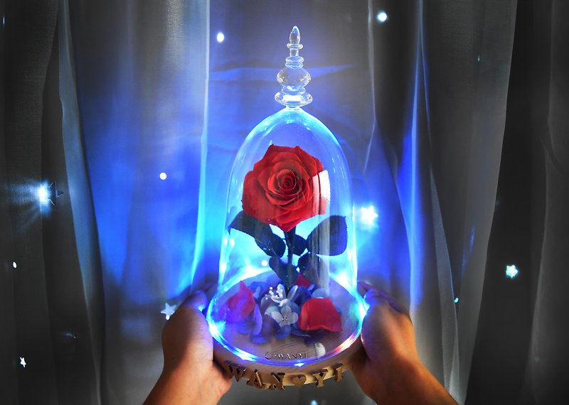 Beauty and the Beast Rose Large Glass Cover Preserved Flower Rose Proposal Customized Gift Dry - ตกแต่งต้นไม้ - กระดาษ สีแดง