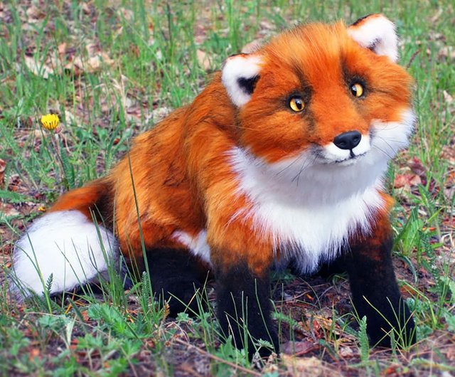 Realistic plush toy Red Fox - Shop MoonFoxToys Stuffed Dolls & Figurines -  Pinkoi