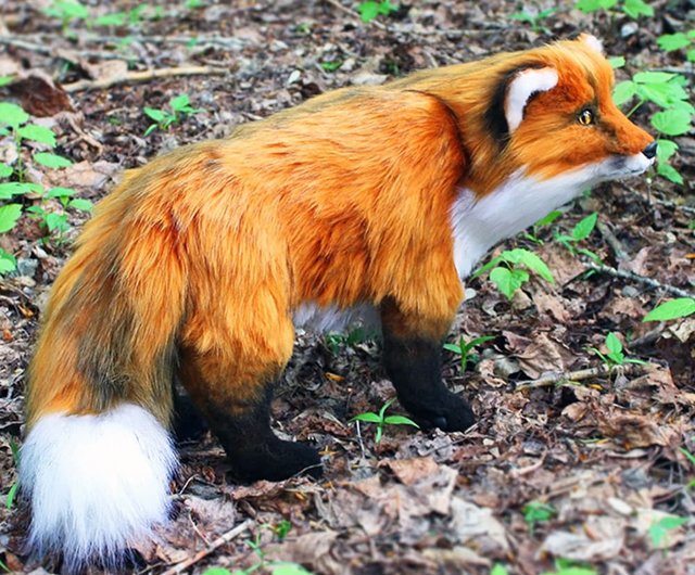 Realistic plush toy Red Fox - Shop MoonFoxToys Stuffed Dolls & Figurines -  Pinkoi