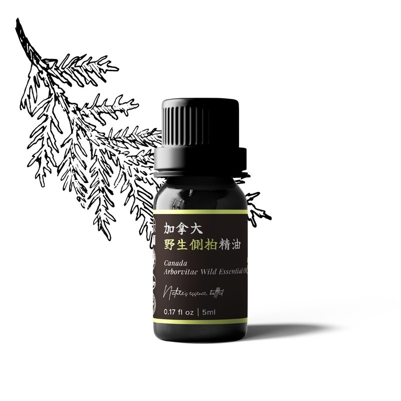 【卡佛香】加拿大野生側柏精油 - 香氛/精油/擴香 - 玻璃 黑色