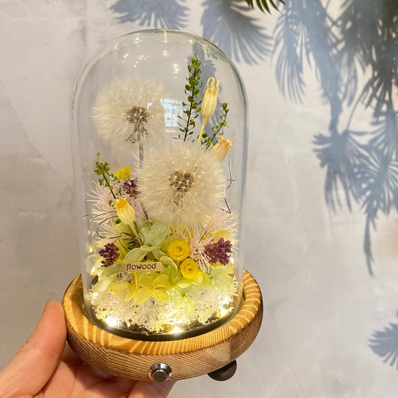 Night Light Dandelion Graduation Gift - ช่อดอกไม้แห้ง - พืช/ดอกไม้ หลากหลายสี