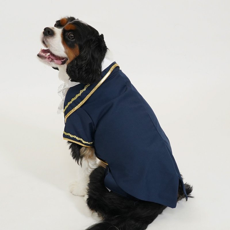 Male Dog Belly Wrap - Navy Pet Clothing - ชุดสัตว์เลี้ยง - เส้นใยสังเคราะห์ 