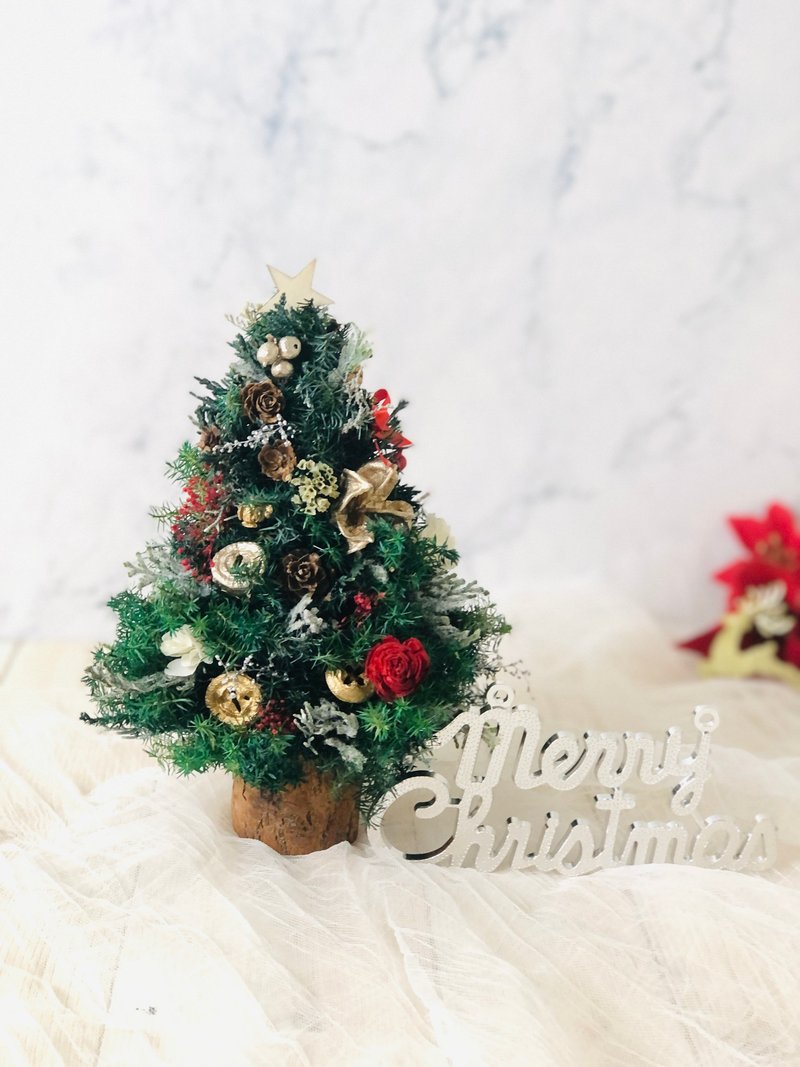 種下一棵屬於自己的聖誕樹 - 植栽/花藝 - 植物．花 