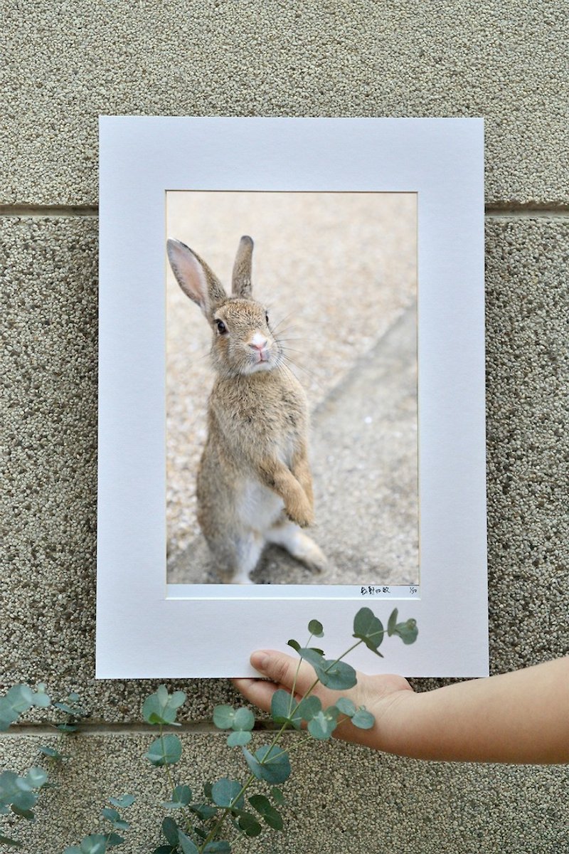 ウサギ写真の限定オリジナルアート-ディスカッション - 置物 - 紙 カーキ