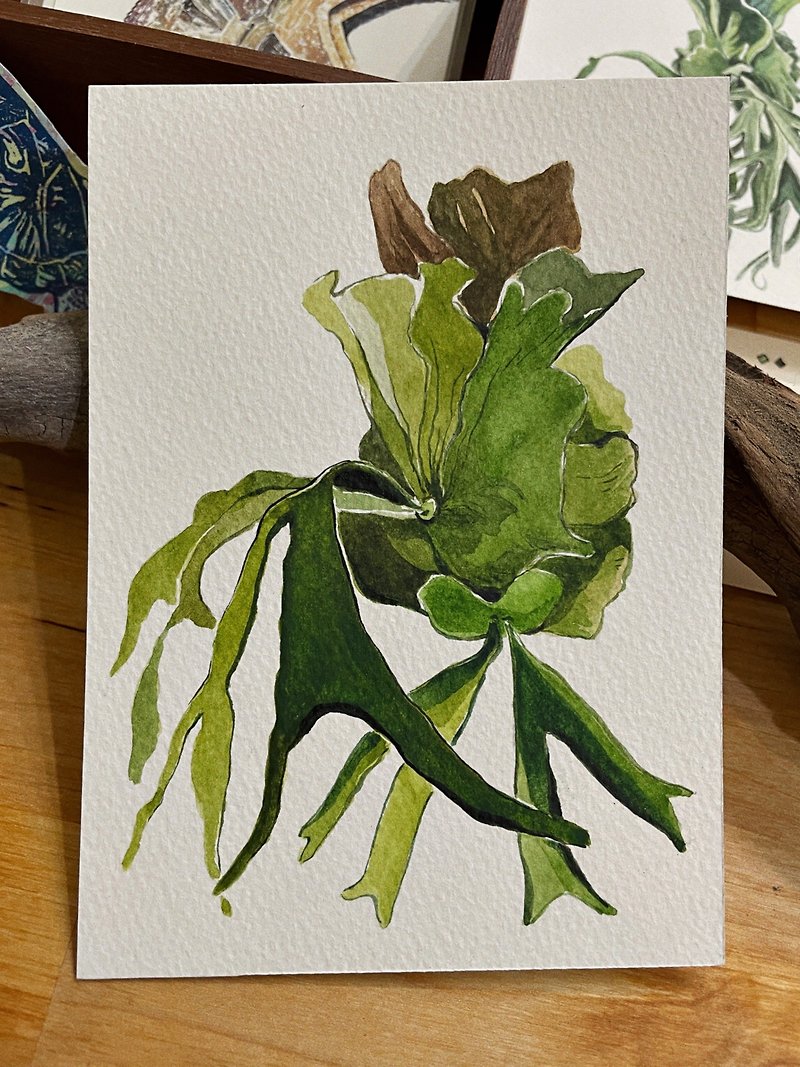 [Original watercolor] Staghorn fern/hand-painted/plant feeling - Cards & Postcards - Paper Green