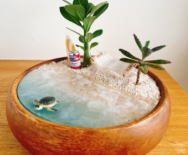 Pure natural little turtle dripping succulent beer beach surfing gift  animal beach - Shop pure-nature Plants - Pinkoi