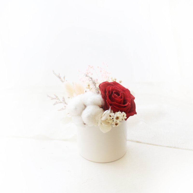 精靈公主的後花園・古典紅永生玫瑰與白棉花禮 - 乾花/永生花 - 植物．花 紅色