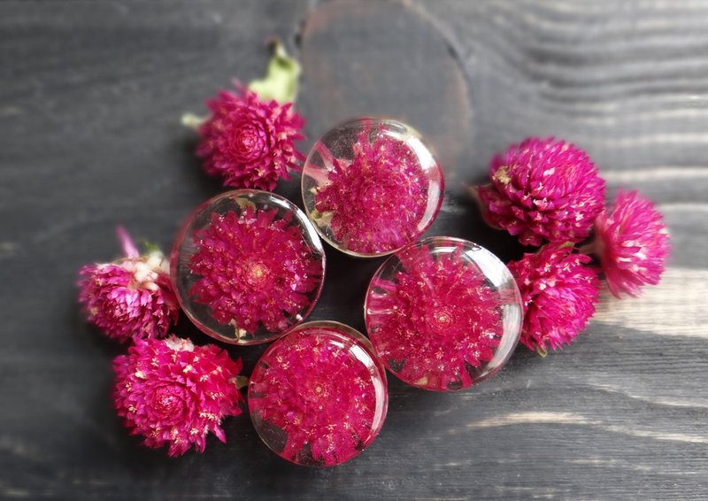 Purple gomphrena flower  plug earrings  ear gauges  terrarium jewelry Resin - 耳環/耳夾/耳骨夾 - 植物．花 紫色