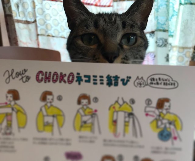 4月19日0:00から20日23:59まで 2日間限定受注会 I love cat 名古屋帯 ハチワレ - ショップ ハイカロリイオトメ【公式】  その他 - Pinkoi